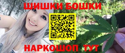 стафф Новодвинск