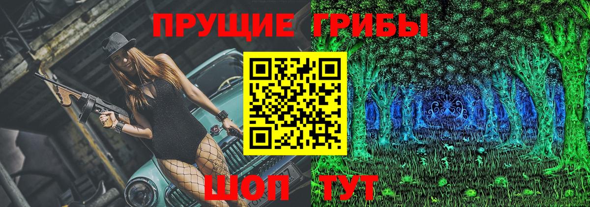 Псилоцибиновые грибы мицелий Урус-Мартан