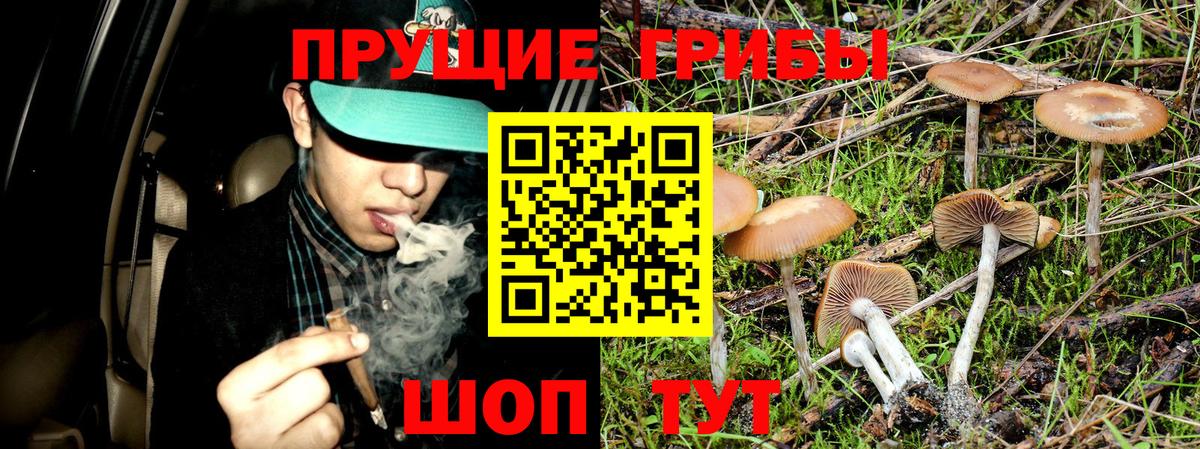 Урус-Мартан  Галлюциногенные грибы мицелий  хочу наркоту  Вход с VPN 